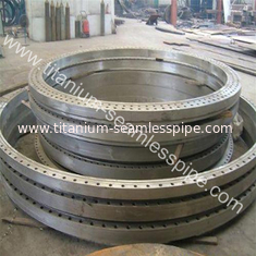 China Asme b16.5 grade2 grade7 titanium Marine flange supplier